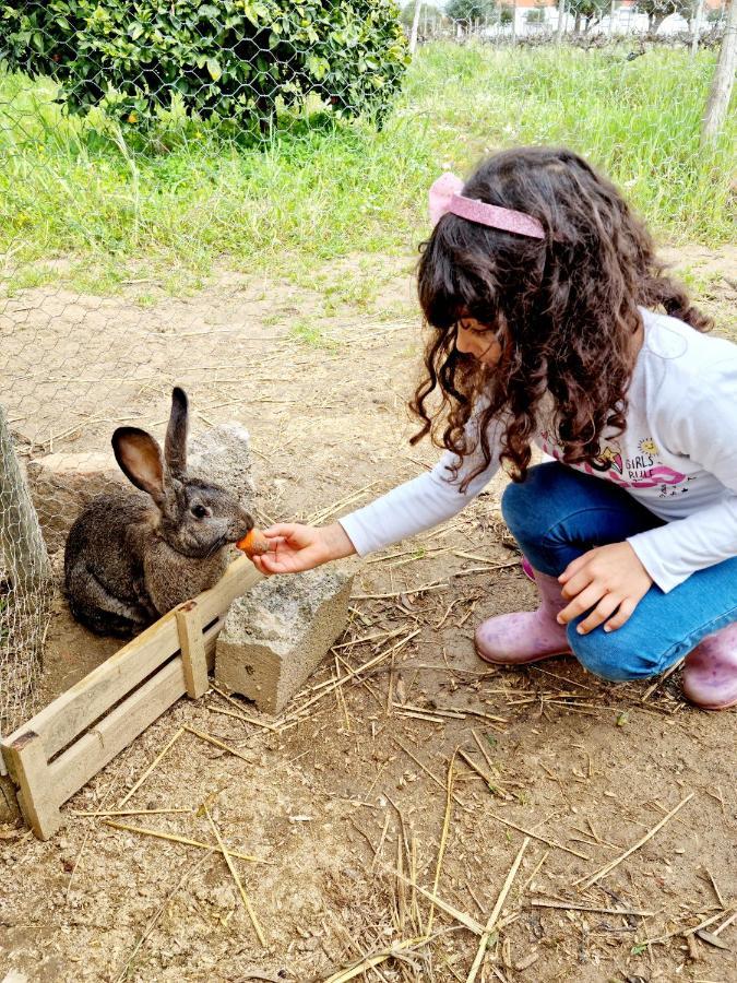 Quinta Do Quartel Villa Évora Dış mekan fotoğraf